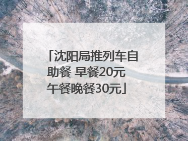 沈阳局推列车自助餐 早餐20元午餐晚餐30元