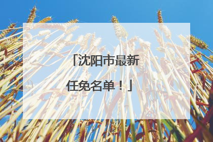 沈阳市最新任免名单！