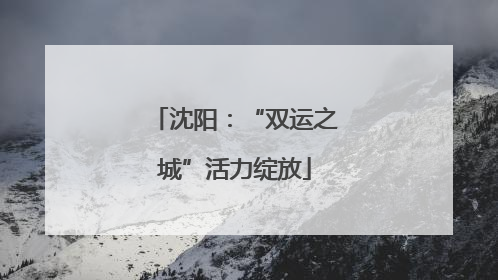 沈阳：“双运之城”活力绽放