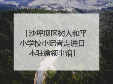 沙坪坝区树人和平小学校小记者走进日本驻渝领事馆
