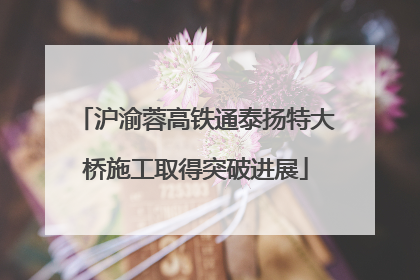 沪渝蓉高铁通泰扬特大桥施工取得突破进展