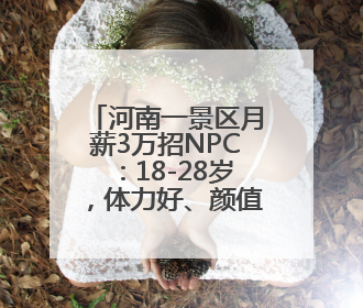 河南一景区月薪3万招NPC：18-28岁，体力好、颜值高、会聊天！已有1000多人应聘