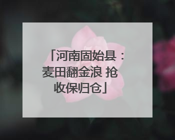 河南固始县：麦田翻金浪 抢收保归仓