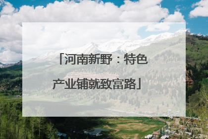河南新野：特色产业铺就致富路