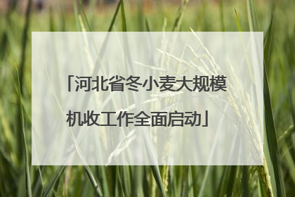 河北省冬小麦大规模机收工作全面启动