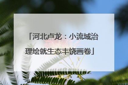 河北卢龙：小流域治理绘就生态丰饶画卷