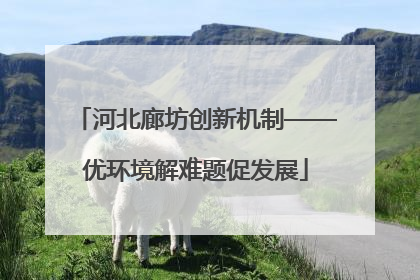 河北廊坊创新机制——优环境解难题促发展