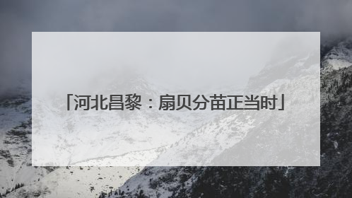 河北昌黎：扇贝分苗正当时
