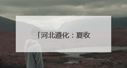 河北遵化：夏收时节田园如画