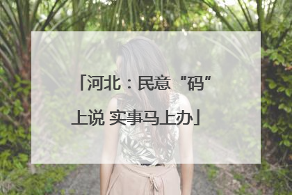 河北：民意“码”上说 实事马上办