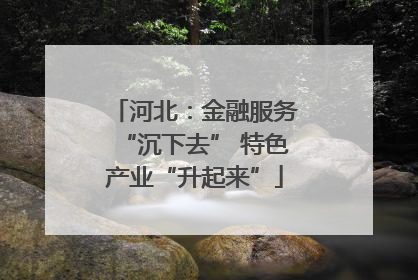 河北：金融服务“沉下去” 特色产业“升起来”