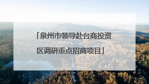 泉州市领导赴台商投资区调研重点招商项目