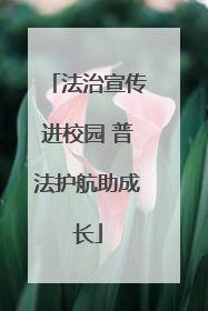 法治宣传进校园 普法护航助成长