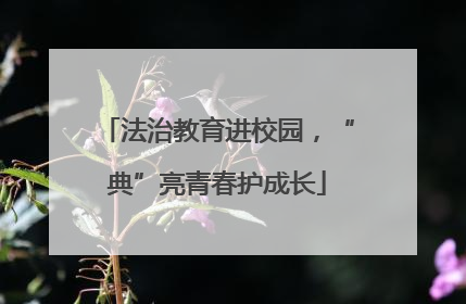 法治教育进校园，“典”亮青春护成长