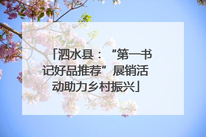 泗水县：“第一书记好品推荐”展销活动助力乡村振兴