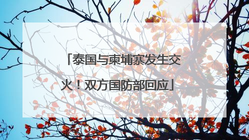 泰国与柬埔寨发生交火！双方国防部回应
