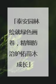 泰安园林绘就绿色画卷，精细防治护佑苗木成长