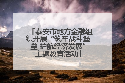 泰安市地方金融组织开展“筑牢战斗堡垒 护航经济发展”主题教育活动