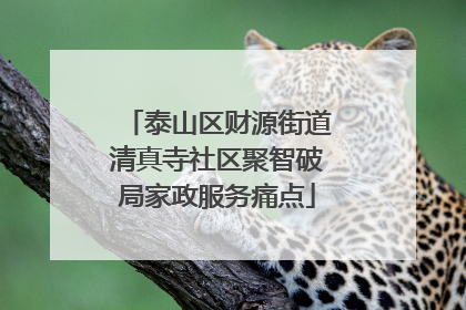 泰山区财源街道清真寺社区聚智破局家政服务痛点