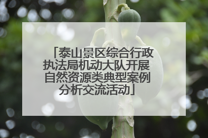 泰山景区综合行政执法局机动大队开展自然资源类典型案例分析交流活动