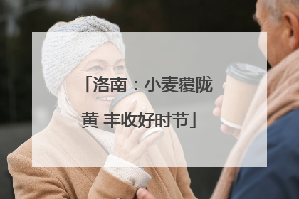 洛南：小麦覆陇黄 丰收好时节