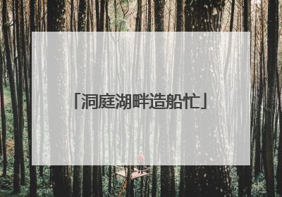 洞庭湖畔造船忙