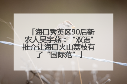 海口秀英区90后新农人吴宇燕：“双语”推介让海口火山荔枝有了“国际范”