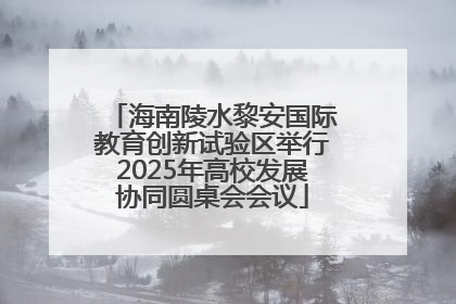 海南陵水黎安国际教育创新试验区举行2025年高校发展协同圆桌会会议
