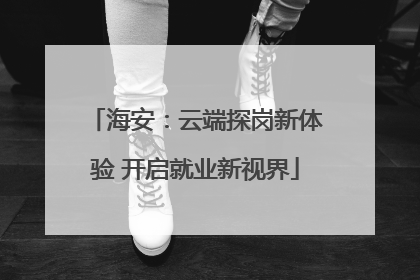 海安：云端探岗新体验 开启就业新视界