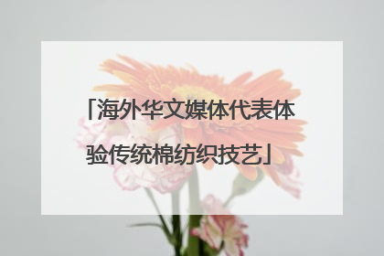 海外华文媒体代表体验传统棉纺织技艺