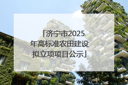 济宁市2025年高标准农田建设拟立项项目公示