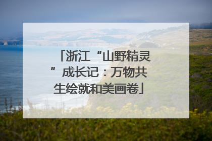 浙江“山野精灵”成长记：万物共生绘就和美画卷