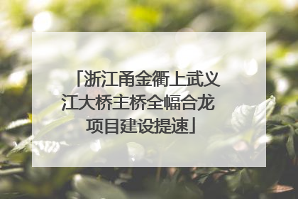 浙江甬金衢上武义江大桥主桥全幅合龙 项目建设提速