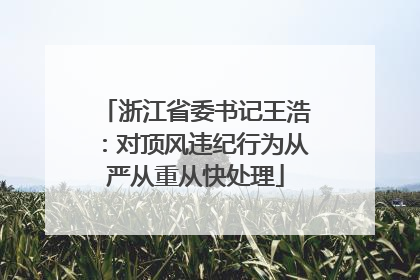 浙江省委书记王浩：对顶风违纪行为从严从重从快处理