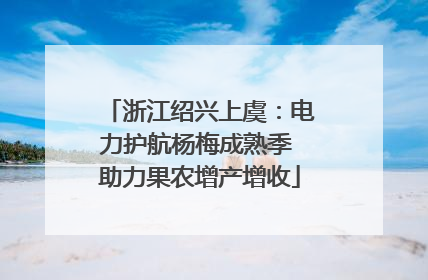 浙江绍兴上虞：电力护航杨梅成熟季 助力果农增产增收