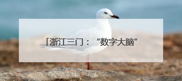 浙江三门：“数字大脑”赋能青蟹产业 从育苗到养殖重塑“蓝色粮仓”