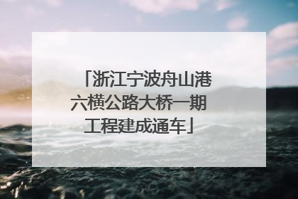 浙江宁波舟山港六横公路大桥一期工程建成通车