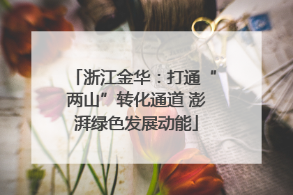 浙江金华：打通“两山”转化通道 澎湃绿色发展动能