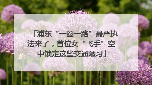浦东“一圈一路”最严执法来了，首位女“飞手”空中锁定这些交通陋习