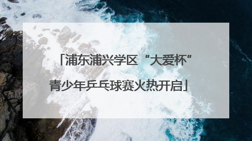 浦东浦兴学区“大爱杯”青少年乒乓球赛火热开启