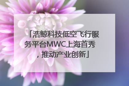 浩鲸科技低空飞行服务平台MWC上海首秀，推动产业创新