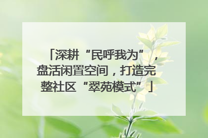 深耕“民呼我为”，盘活闲置空间，打造完整社区“翠苑模式”