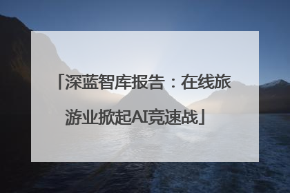 深蓝智库报告：在线旅游业掀起AI竞速战