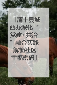 清丰县城西办深化“党建+共治”融合实践 解锁社区幸福密码