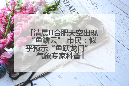 清晨﻿合肥天空出现“鱼鳞云” 市民：似乎预示“鱼跃龙门” 气象专家科普
