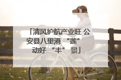清风护航产业旺 公安县八里港 “莲” 动好 “丰” 景