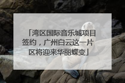 湾区国际音乐城项目签约，广州白云这一片区将迎来华丽蝶变