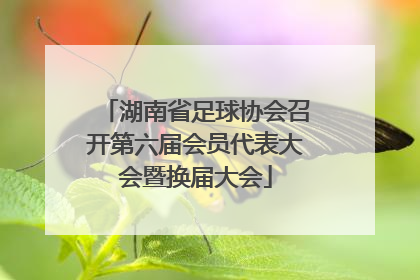 湖南省足球协会召开第六届会员代表大会暨换届大会