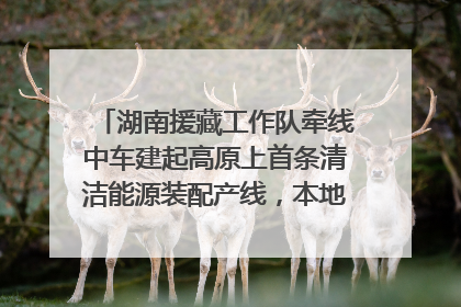 湖南援藏工作队牵线中车建起高原上首条清洁能源装配产线，本地大学生成车间检验员