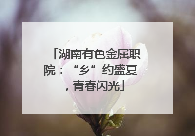 湖南有色金属职院：“乡”约盛夏，青春闪光